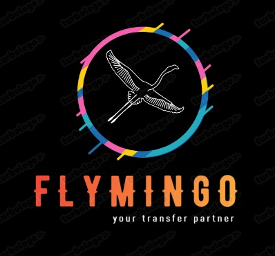 Flymingo